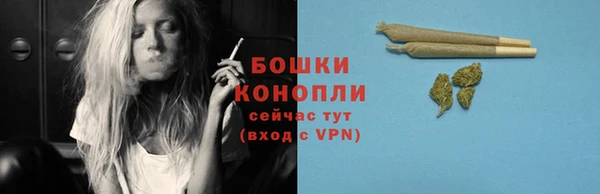 дживик Новозыбков