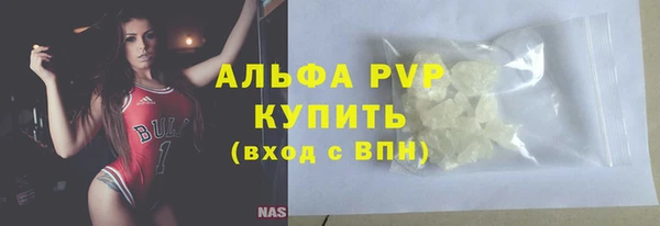 дживик Новозыбков