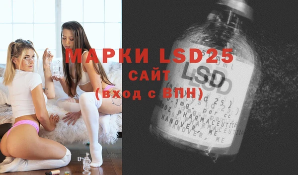 дживик Новозыбков