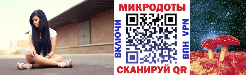 Купить закладки  Киренск  Псилоцибиновые грибы MAGIC MUSHROOMS 